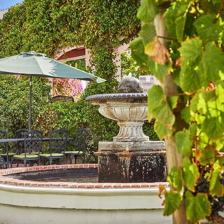 Deux Freres Wine Estate & Luxury Villas Стеленбош Екстериор снимка