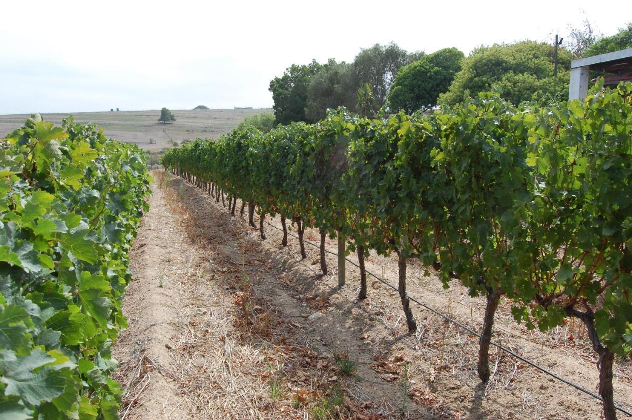 Deux Freres Wine Estate & Luxury Villas Стеленбош Екстериор снимка