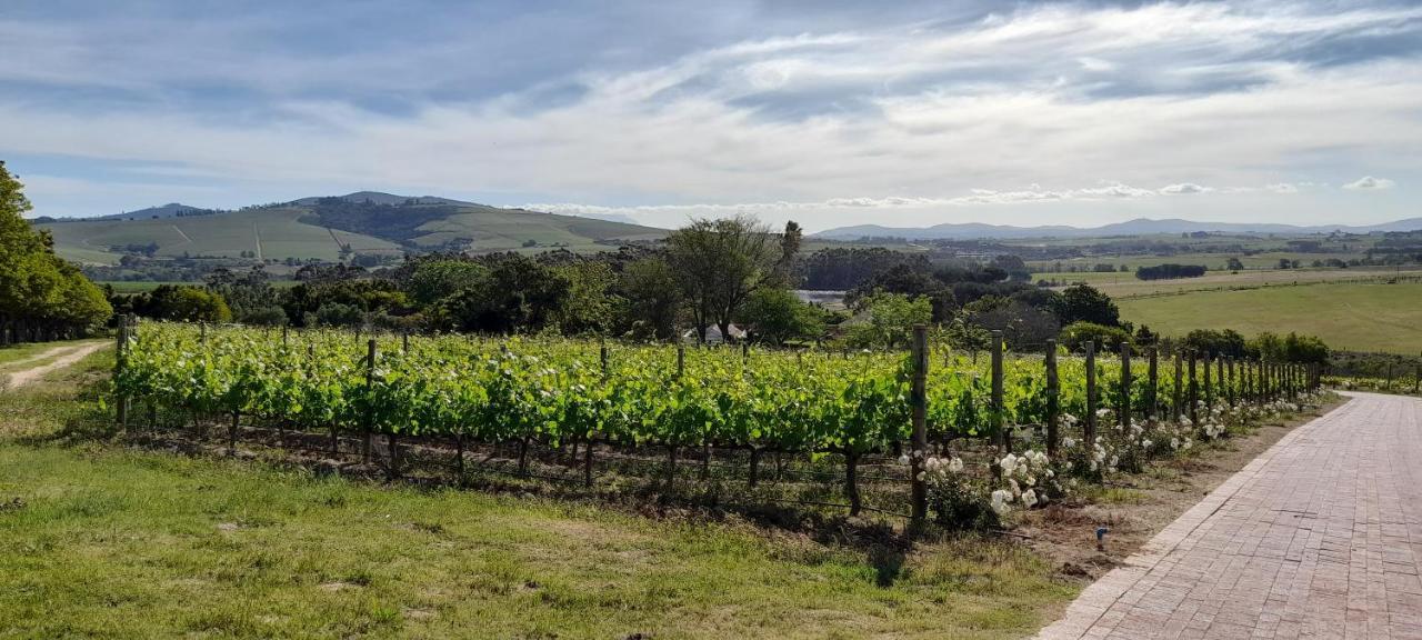 Deux Freres Wine Estate & Luxury Villas Стеленбош Екстериор снимка
