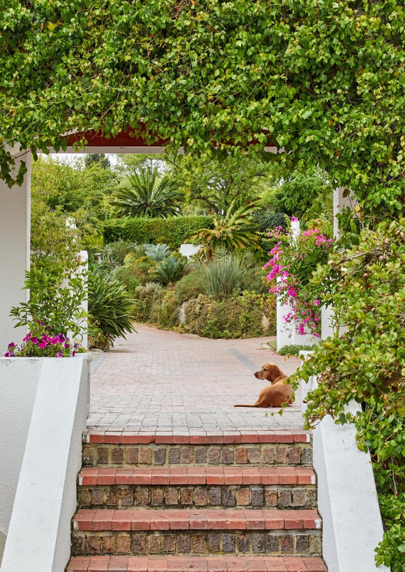 Deux Freres Wine Estate & Luxury Villas Стеленбош Екстериор снимка